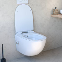 Toiletten