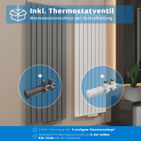 ROTHLER Paneelheizkörper Flachheizkörper Vertikal Doppellagig Weiß 61 x 180 cm mit Multiblock