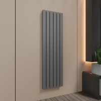 ROTHLER Paneelheizkörper Flachheizkörper Vertikal Doppellagig Anthrazit 46 x 160 cm