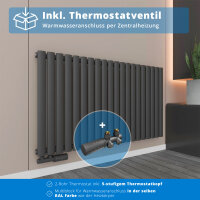 ROTHLER Paneelheizkörper Horizontal Einlagig...