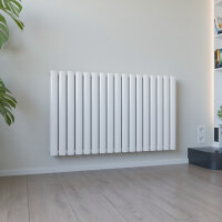 ROTHLER Paneelheizkörper Flachheizkörper Katzenauge Horizontal Doppellagig Weiß 100 x 60