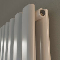 ROTHLER Paneelheizkörper Flachheizkörper Katzenauge Horizontal Doppellagig Weiß 100 x 60