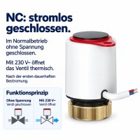 Thermostatventil Axialform 1/2 Zoll mit Voreinstellung M30 x 1,5